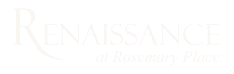The Renaissance logo https://odiconsultingcom4ca63.zapwp.com/q:i/r:0/wp:1/w:1/u:https://odiconsulting.com/wp-content/uploads/2024/06/The-Renaissance-logo.png